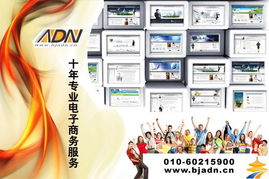 北京專業網站制作公司