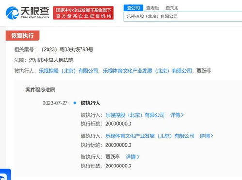 賈躍亭及樂視被恢復執行2000萬