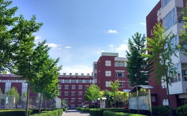 北京市信息管理學校、學校招生計劃